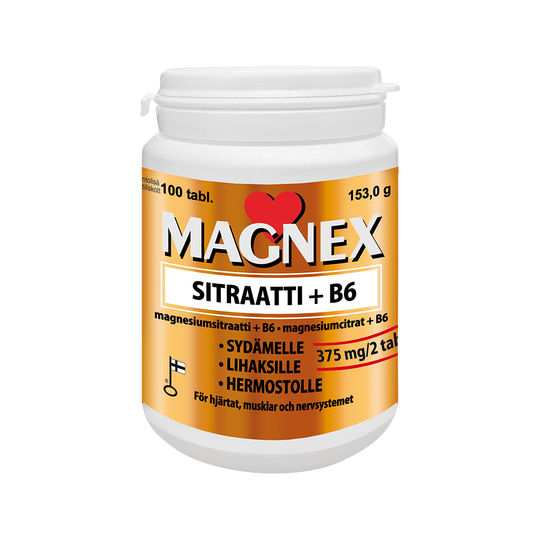 Magnex Sitraatti 375mg + b6 100 tabl