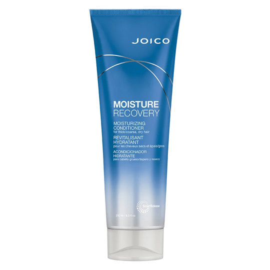 Moisture Recovery Moisturizing Conditioner, 250 ml Joico Hoitoaine