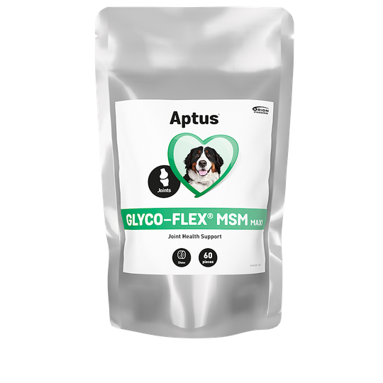 Aptus Glyco-Flex MSM Maxi purutabl 60 kpl