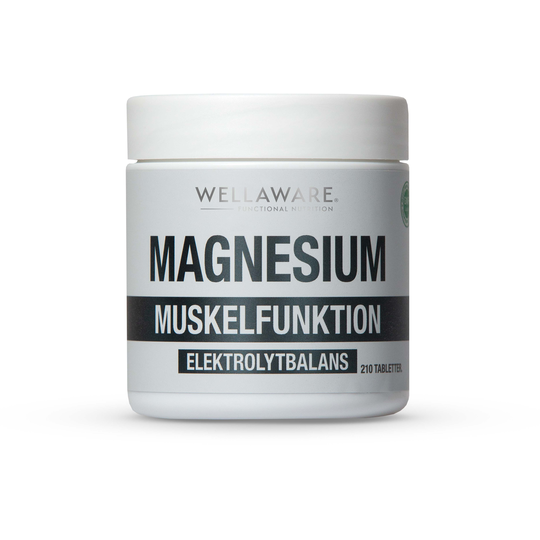 WellAware Magnesium minitabletter 210 st