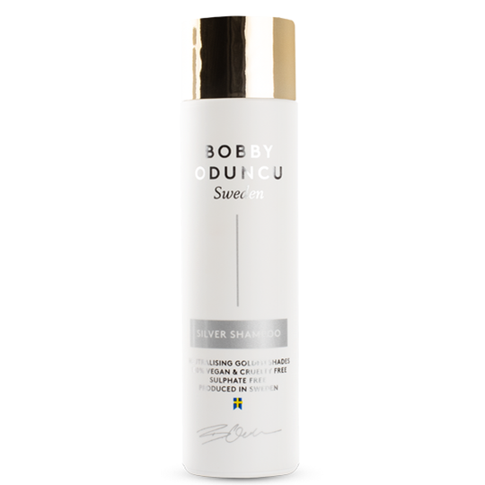 Bobbys Hair Care Silver Shampoo 250 ml